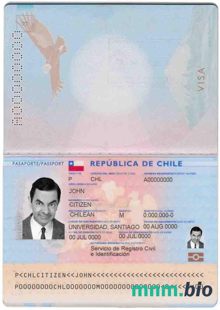 Przykład paszportu Chile w formacie PSD, w pełni edytowalny